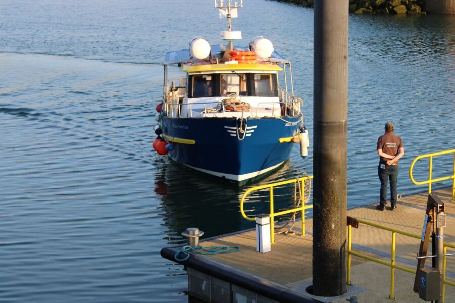 Dublin: Howth Cliffs and Lighthouse Cruise - What Happens During the 45-Minute Cruise
