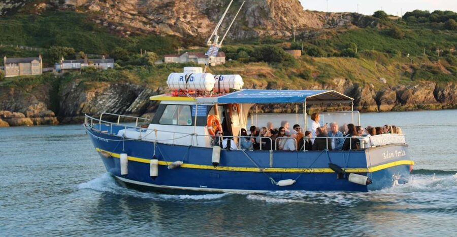 Dublin: Howth Cliffs and Lighthouse Cruise - Weather, Waves, and Comfort on the Water