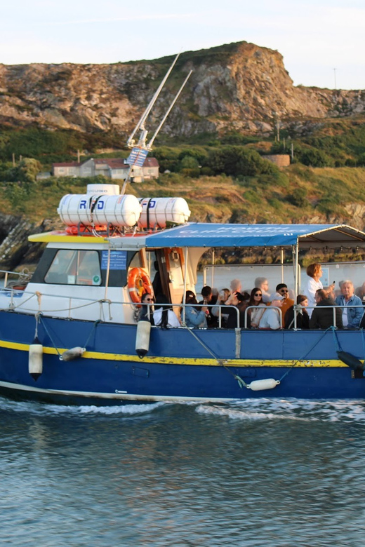 Dublin: Howth Coast and Ireland's Eye Boat Tour - Why this short Howth cruise is worth your time