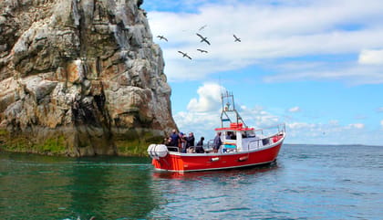 Dublin: Howth Coastal Boat Tour - Key points to know before you go