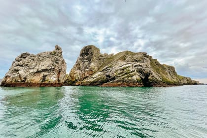 Dublin: Howth Coastal Boat Tour - Booking details that matter