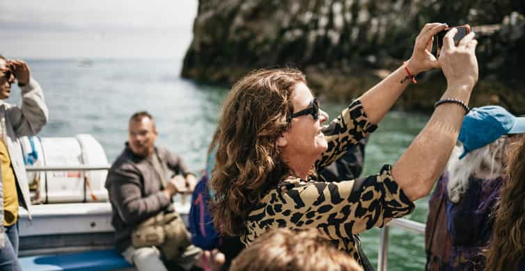 Dublin: Howth Coastal Boat Tour - Why this short Howth cruise is worth your time