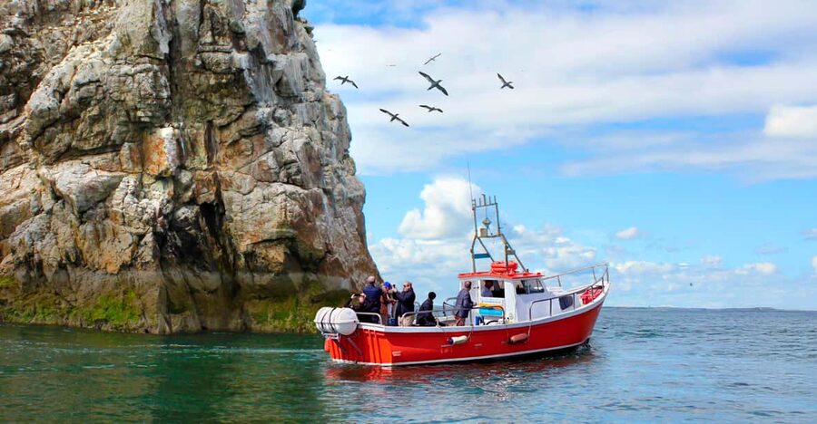 Dublin: Howth Coastal Boat Tour - What happens during the 50-minute cruise