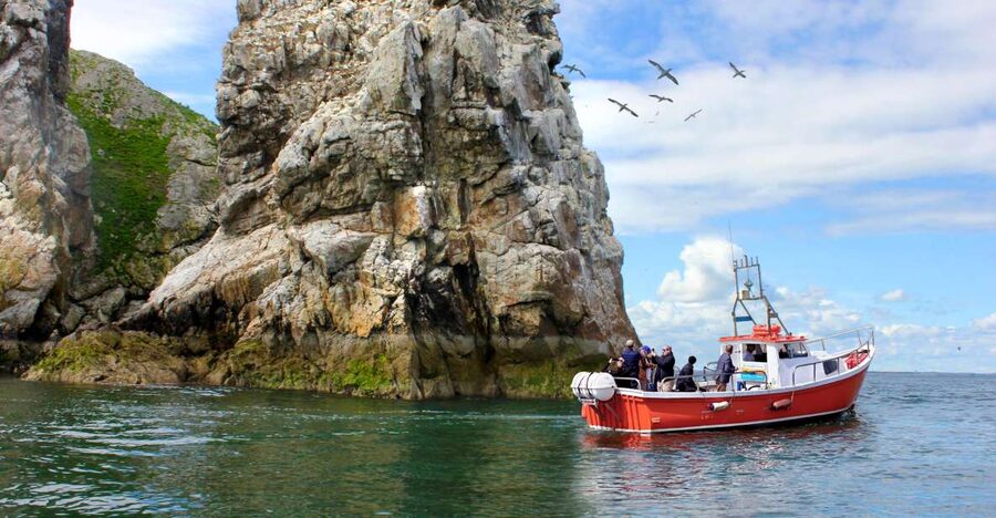 Dublin: Howth Coastal Boat Tour - Is $28 a fair price?