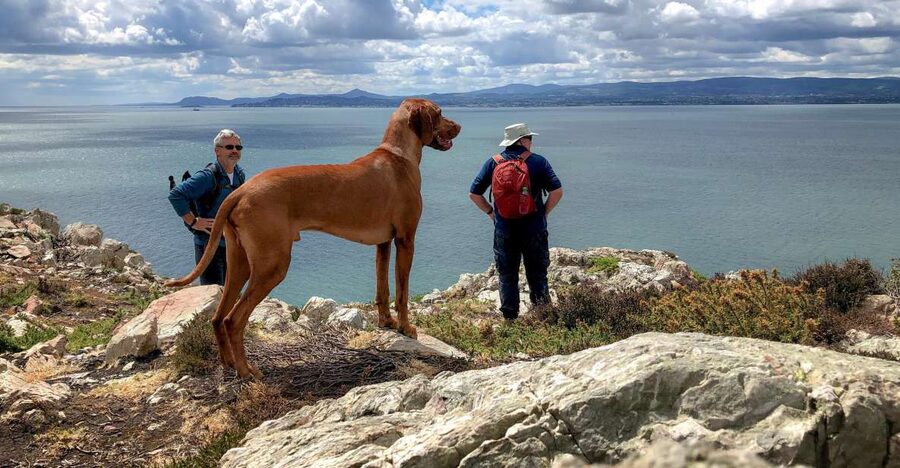 Dublin: Howth Coastal Hiking Tour - St Mary’s Abbey and Howth’s Older Story