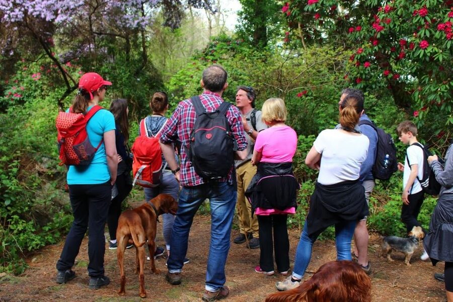 Dublin: Howth Coastal Hiking Tour - Heathlands, Wildflowers, and Less Used Paths