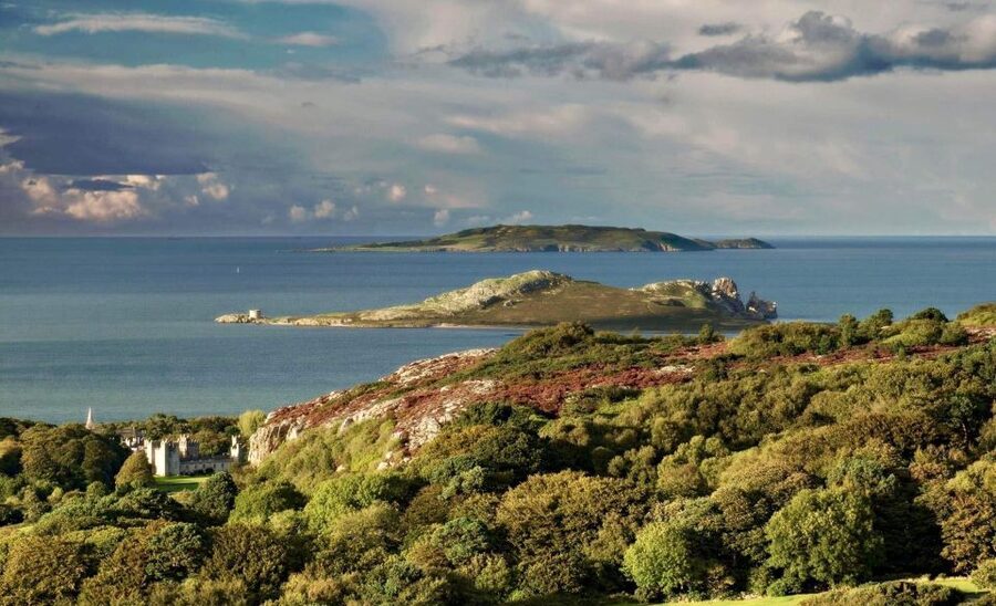 Dublin: Howth Coastal Hiking Tour - Following the Howth Cliff Walk