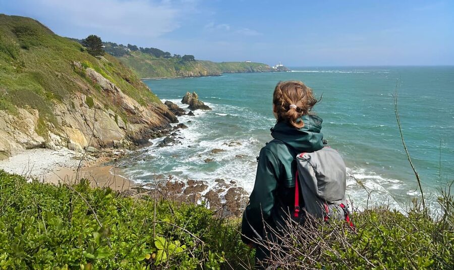 Dublin: Howth Safari Hiking Tour - What makes this Howth hike worth your time
