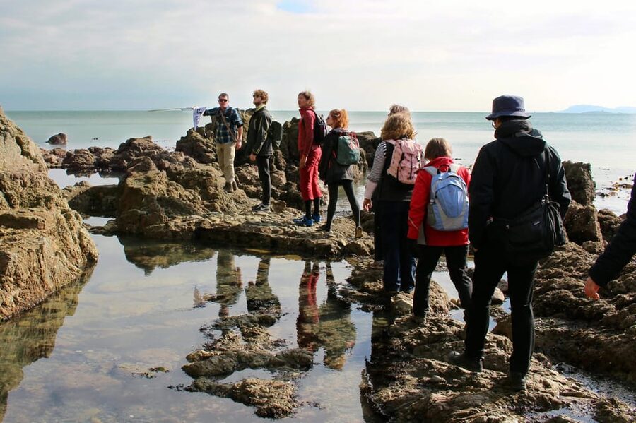 Dublin: Howth Safari Hiking Tour - What the guides add