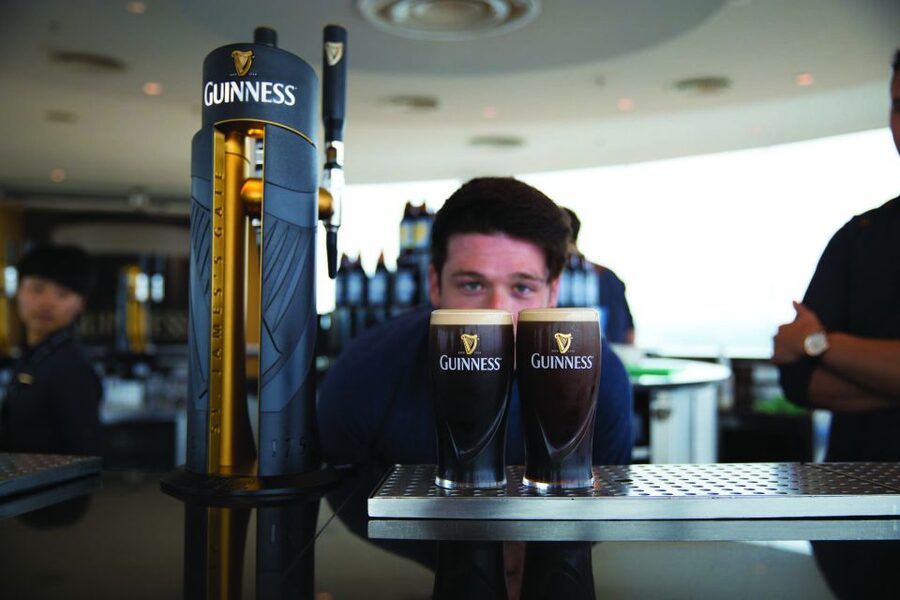 Dublin: Jameson and Guinness Private Tour with Transfers - The city tour between the drinks
