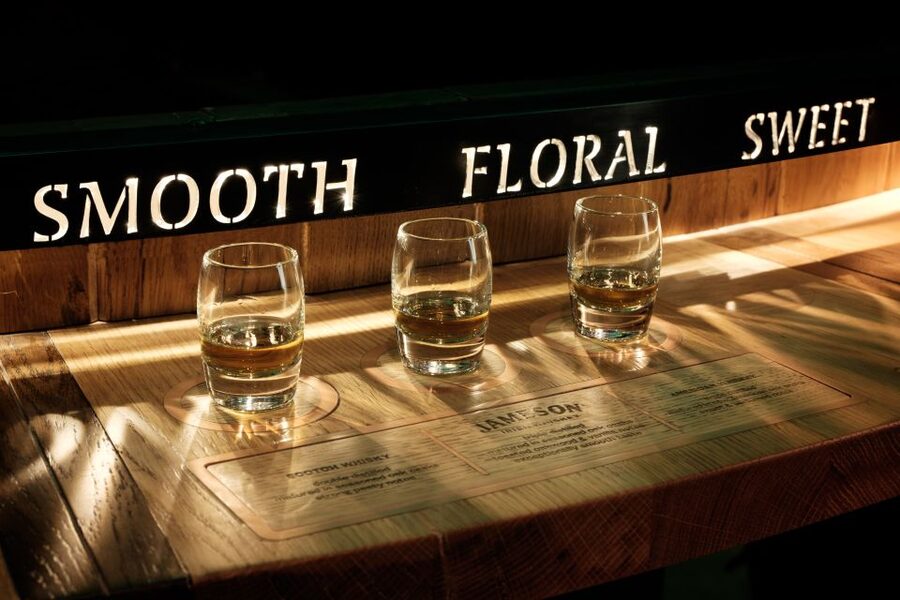 Dublin: Jameson and Guinness Private Tour with Transfers - What the private format is really worth