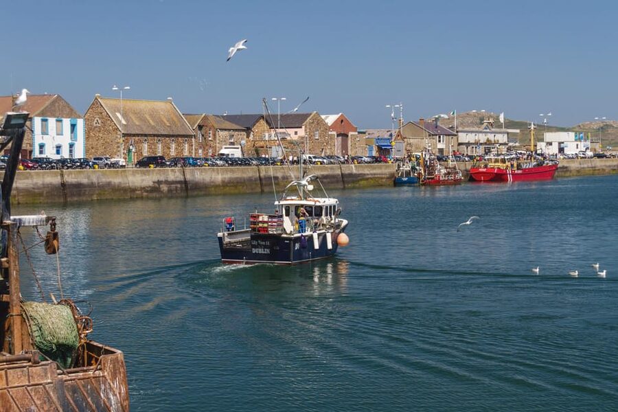 DUBLIN: Malahide castle and Howth MULTILINGUAL full day tour - The return through Bull Island and Fairview