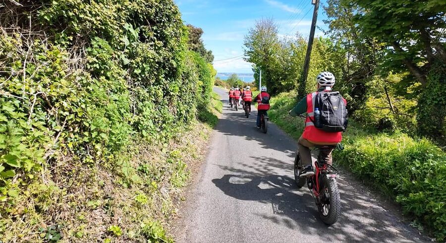 Dublin: Panoramic e-Bike Tour - What the $67 price delivers