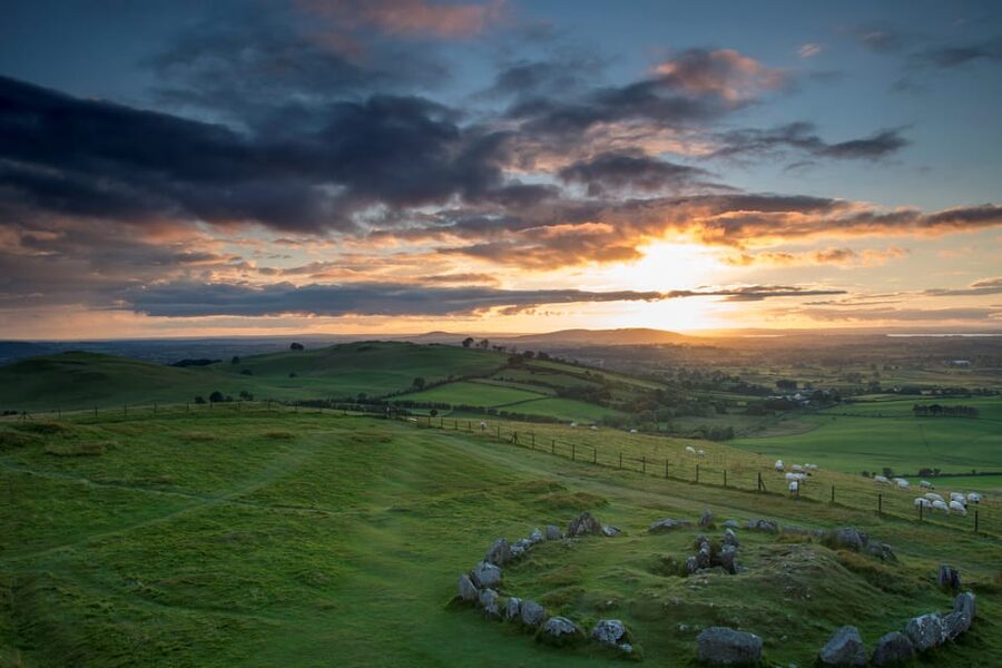 Dublin: Private Boyne Valley and Trim Castle Day Tour - Who Should Book This County Meath Tour?