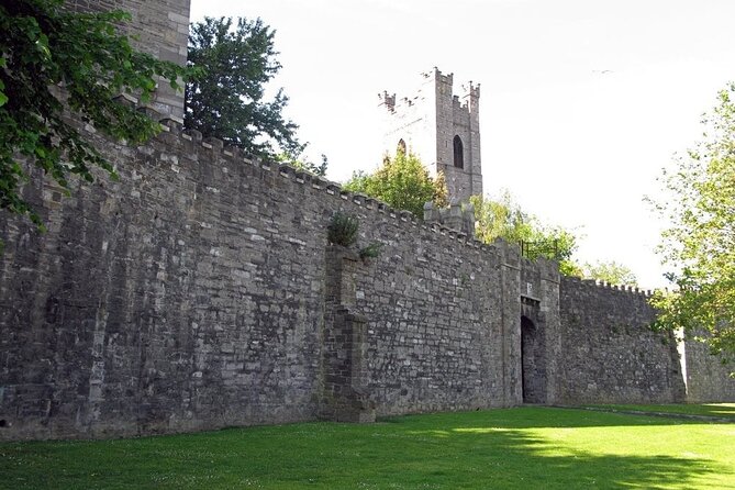 Dublin Private Medieval Walking Tour - Cook Street and the medieval city walls