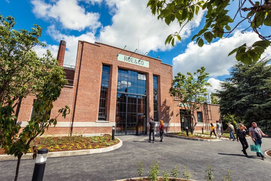 Dublin: Roe and Co Distillery Cocktail Workshop Experience - Who should book this experience?