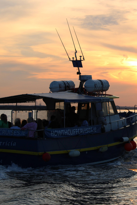 Dublin: Sunset Cruise in Howth - Should you book the sunset cruise in Howth?