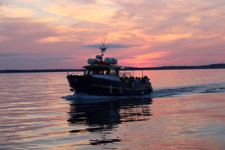 Dublin: Sunset Cruise in Howth - Ireland’s Eye from the water