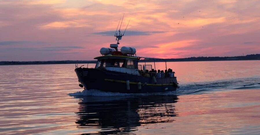 Dublin: Sunset Cruise in Howth - Around Howth on a 50-minute boat ride