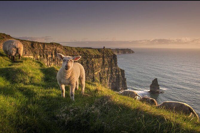 Dublin to Cliffs of Moher, Ennis Town & Bunratty Castle Day Tour - Bunratty Castle and Folk Park from the 15th century