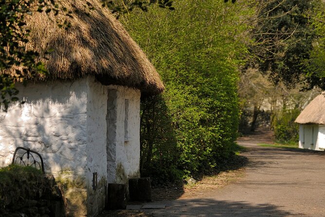Dublin to Cliffs of Moher, Ennis Town & Bunratty Castle Day Tour - Who should book this tour