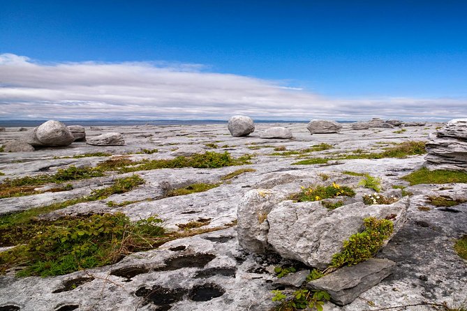 Dublin to Cliffs of Moher, including Wild Atlantic Way and Galway - Key points to know before booking