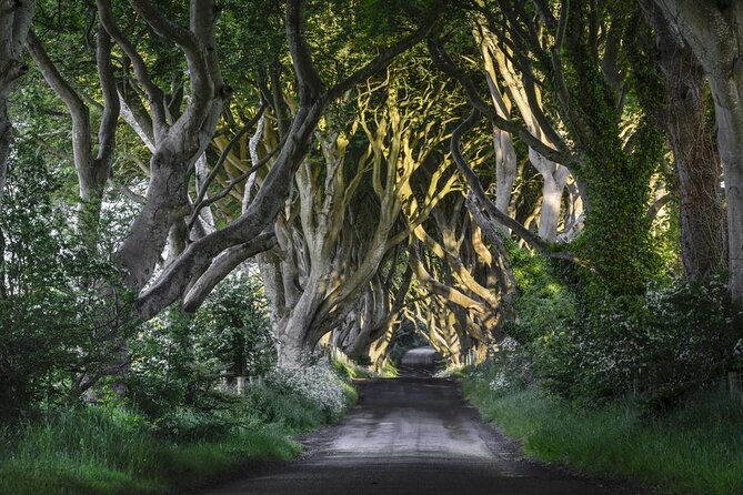 Dublin to Dunluce Castle, Giant's Causeway, Dark Hedges & Belfast - Key points to know before booking