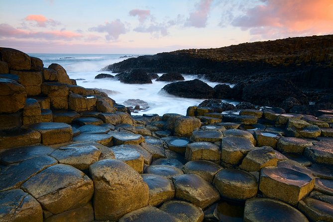 Dublin to Dunluce Castle, Giant's Causeway, Dark Hedges & Belfast - The Dark Hedges in twenty minutes