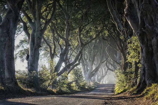 Dublin to Dunluce Castle, Giant's Causeway, Dark Hedges & Belfast - One hour in Belfast beside City Hall