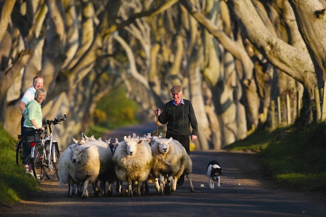 Dublin to Dunluce Castle, Giant's Causeway, Dark Hedges & Belfast - Meeting the coach at 6:45 a.m. in Dublin