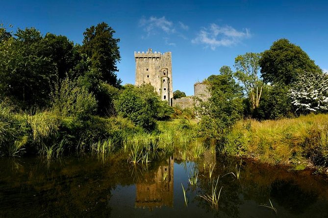 Dublin to Rock of Cashel, Cork City & Blarney Castle Guided Tour - Blarney Castle and Gardens: the day’s main event