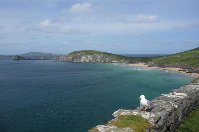 Dublin to South West 5 Day Small-Group Tour with Accommodation - Day 4: The Ring of Kerry and the Skellig coast