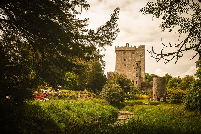 Dublin to South West 5 Day Small-Group Tour with Accommodation - Accommodation, breakfast, and daily comfort