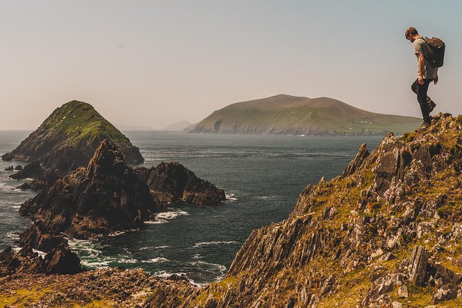 Dublin to South West 5 Day Small-Group Tour with Accommodation - What the driver-guide adds