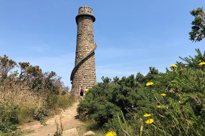 Dublin to Wicklow, Glendalough Small Group Tour with Guided Walk - From Molly Malone to the Wicklow hills