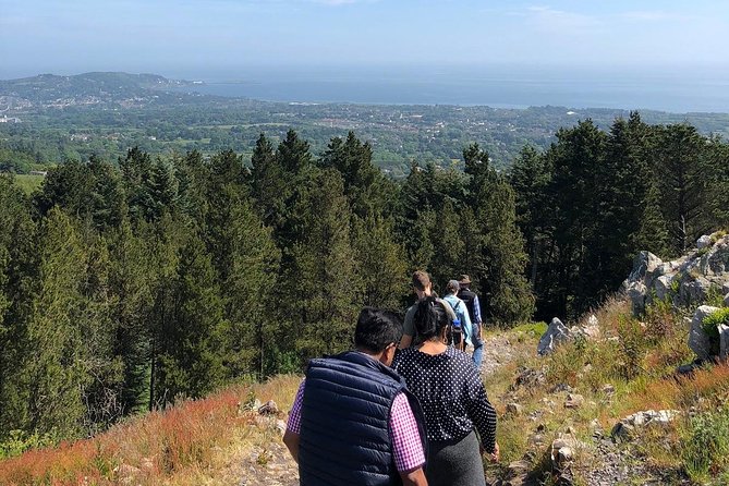 Dublin to Wicklow, Glendalough Small Group Tour with Guided Walk - Guinness Lake and the Luggala Valley