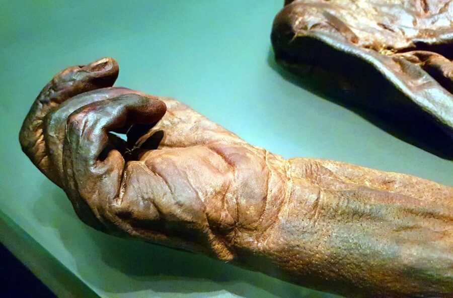 Dublin: Treasures of Ireland Museums Private Tour - Is $492 good value for your group?