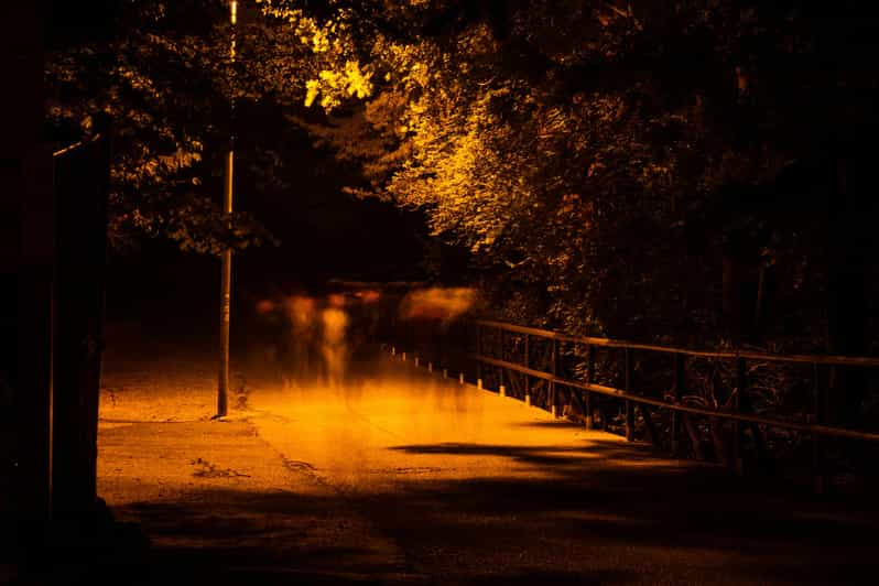 Dublin walking tour: ghosts & haunted places - Key points to know before you go