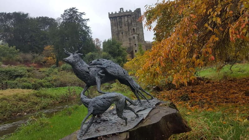 Easy Access - The Blarney Stone & Castle Gardens Tour - Ending at Blarney Woollen Mills