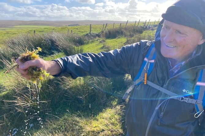 Erris Head Guided Walking Tour (AlchemyTours.ie) - What the $30.01 price gets you