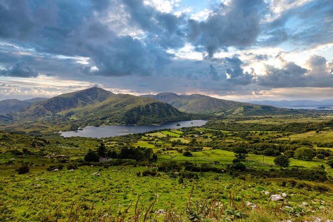 Exclusive Private Ring of Beara Tour from Killarney - Castletownbere is the best food stop on the route