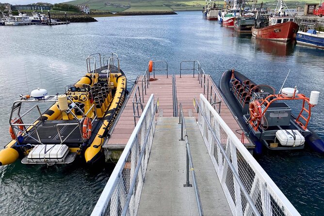 Exhilarating Rib experience - Dingle sea safari - Blasket Islands and the seal beaches