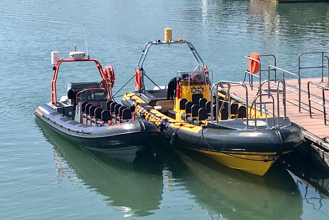Exhilarating Rib experience - Dingle sea safari - Dolphins, whales, puffins, and other wildlife