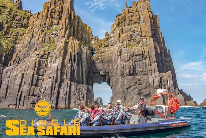 Exhilarating Rib experience - Dingle sea safari - What the three-hour itinerary feels like