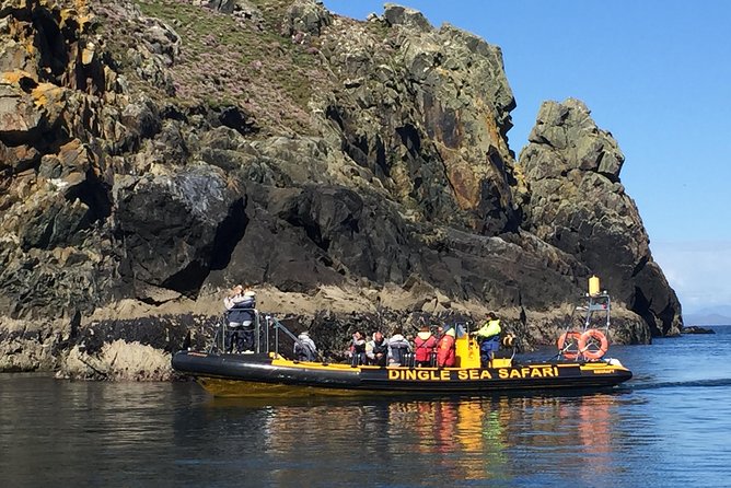 Exhilarating Rib experience - Dingle sea safari - Is $120.93 a fair price?