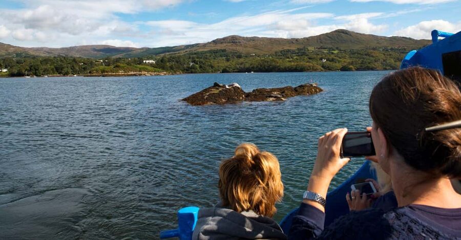 Fastnet Rock Lighthouse direct boat tour-Baltimore.Guided. - Out toward the Wild Atlantic Way