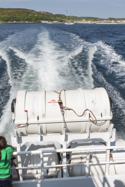Fastnet Rock Lighthouse direct boat tour-Baltimore.Guided. - Who will enjoy this boat trip?