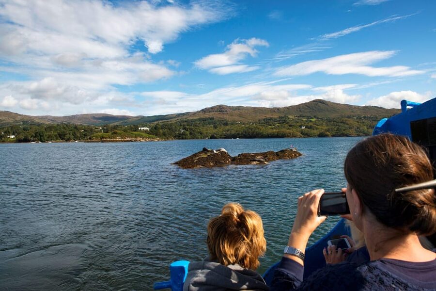 Fastnet Rock Lighthouse direct boat tour-Baltimore.Guided. - Should you book the Fastnet Rock tour?
