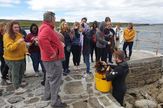 Food, heritage & cultural tour Inishmore, Aran Islands. Guided. - Dún Eochla, a quiet fort above Inishmore