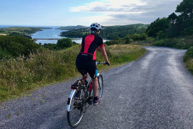 Forks, Focail and Folklore - Storytelling Tour via eBike - Key points to know before you book